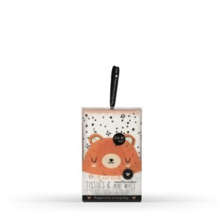 Kit Mala (Papel Absorvente e Toalhitas Refrescantes)